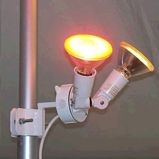 DOUBLE FLOOD LIGHT TENTS ONLY Rentals Kansas City MO, Where to Rent